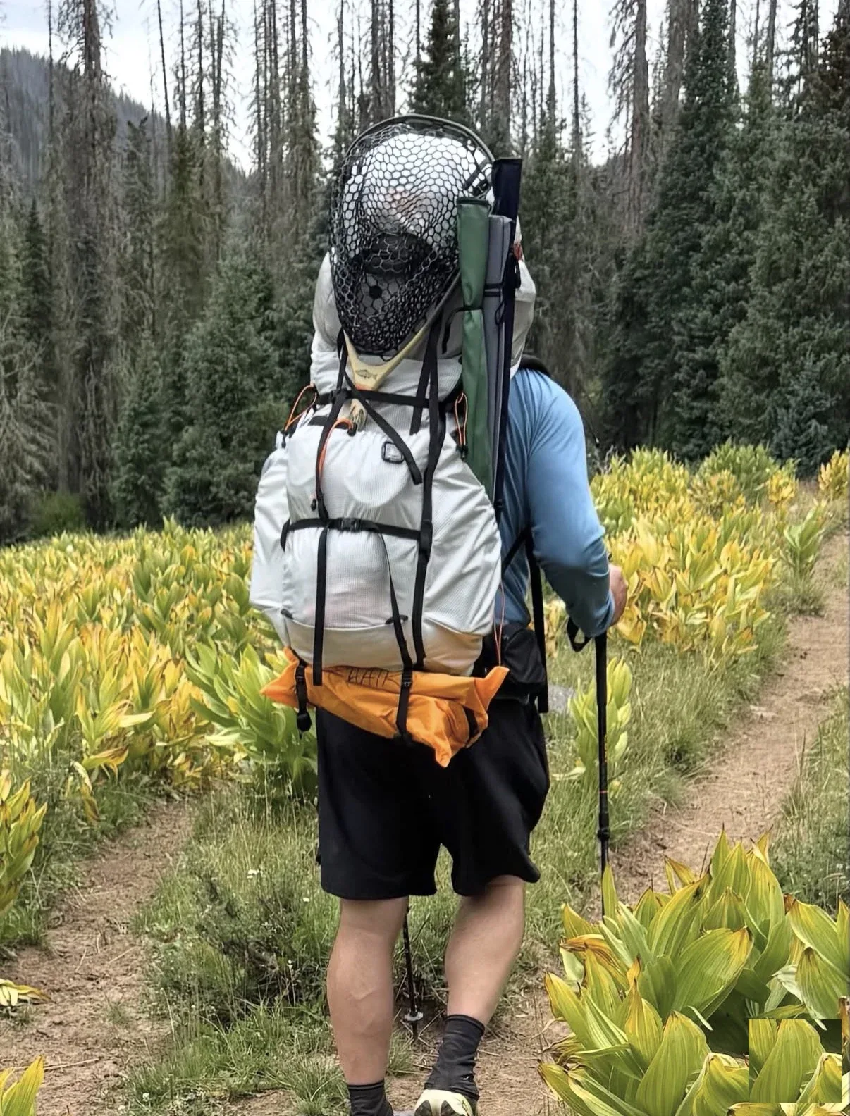 Hiker from behind on a forested backcountry trail, fly fishing net and rod tube strapped to an ultralight backpacking pack.