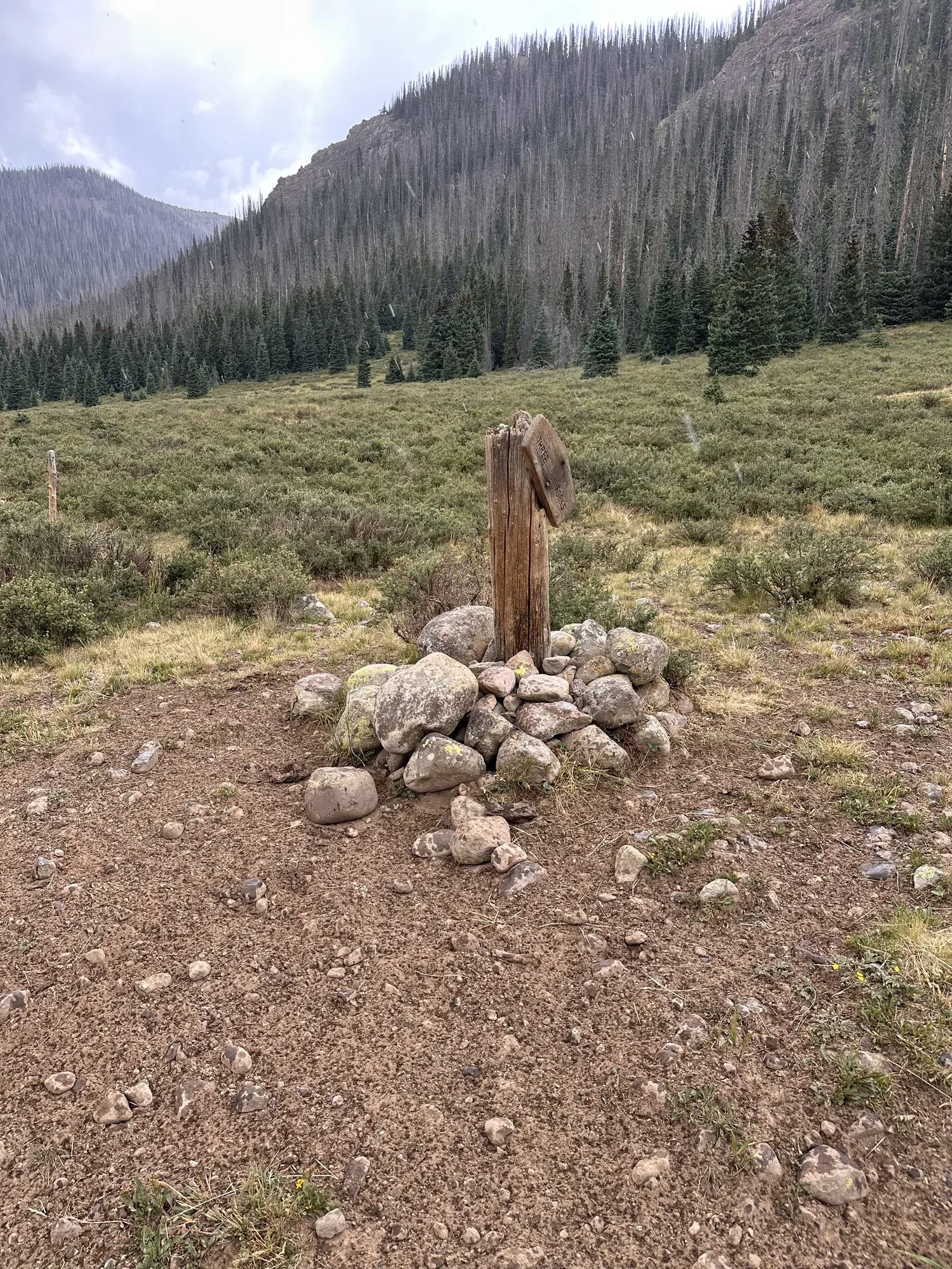 Trail sign for Three Forks marking a rock cairn in an open willow meadow, burned timber on the ridge behind, precipitation streaking through the frame.